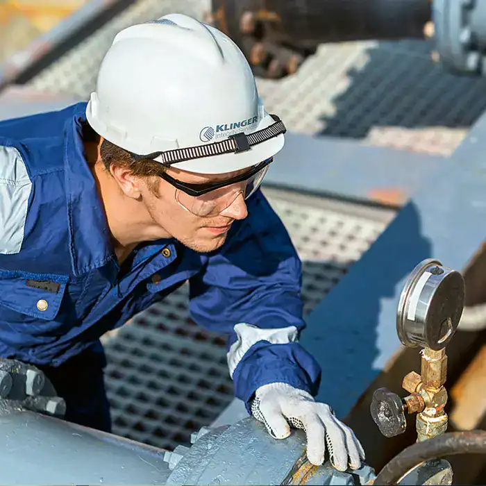 integrity services plant service inspections